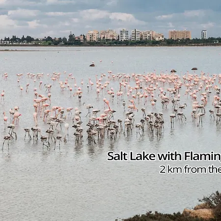 Paradise Palms Seaview Λάρνακα