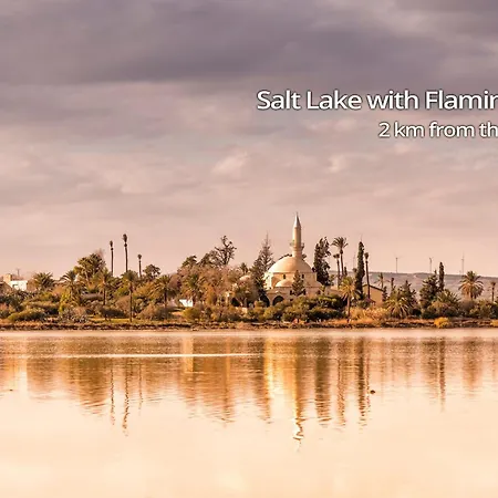 Appartement Paradise Palms Seaview *