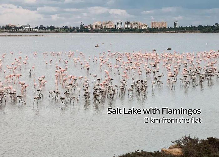 Paradise Palms Seaview Larnaca